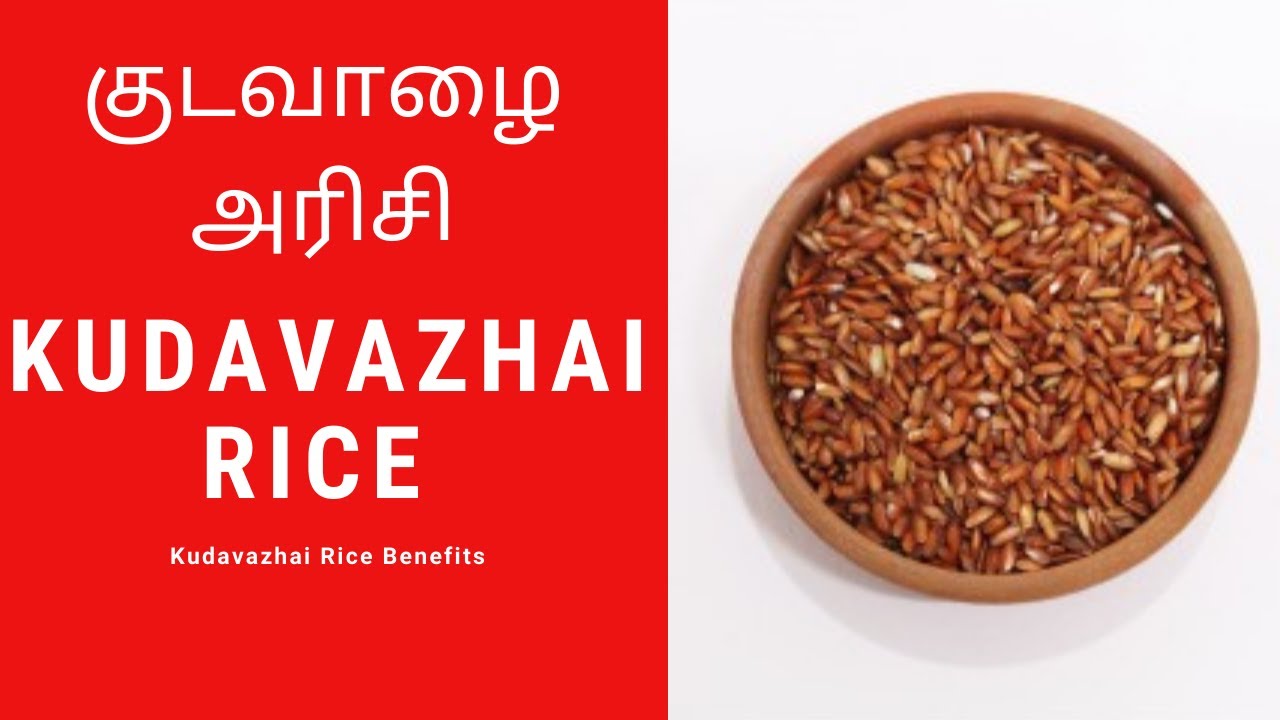 Kudavazhai rice Kudavazhai rice benefits in Tamil Kudavalai rice