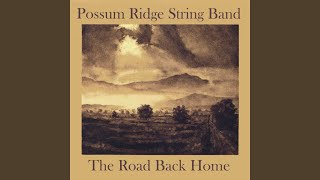 Video thumbnail of "Possum Ridge String Band - Possum Up a Gum Stump"