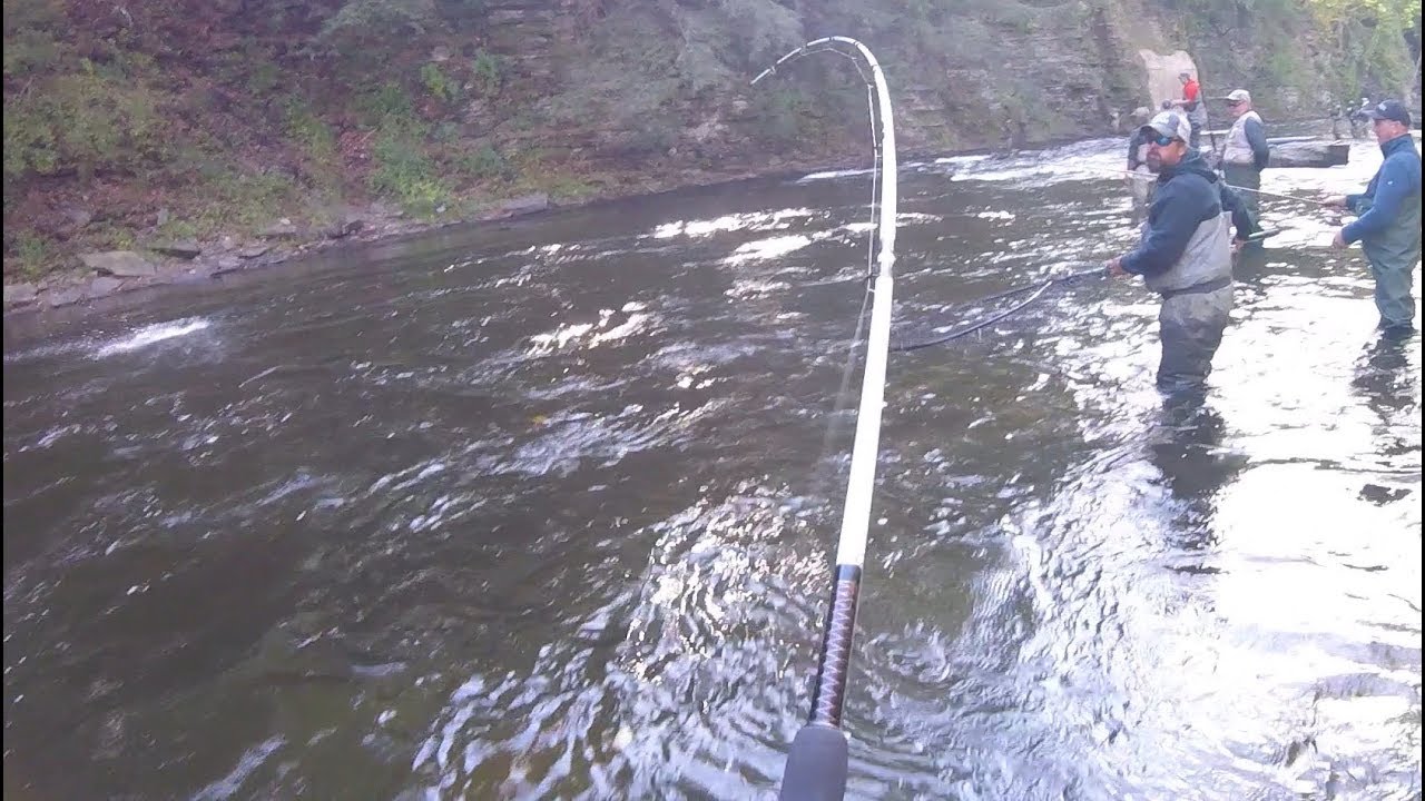 SALMON RIVER PULASKI NY EPIC SALMON RUN JUMPING KINGS!!! YouTube