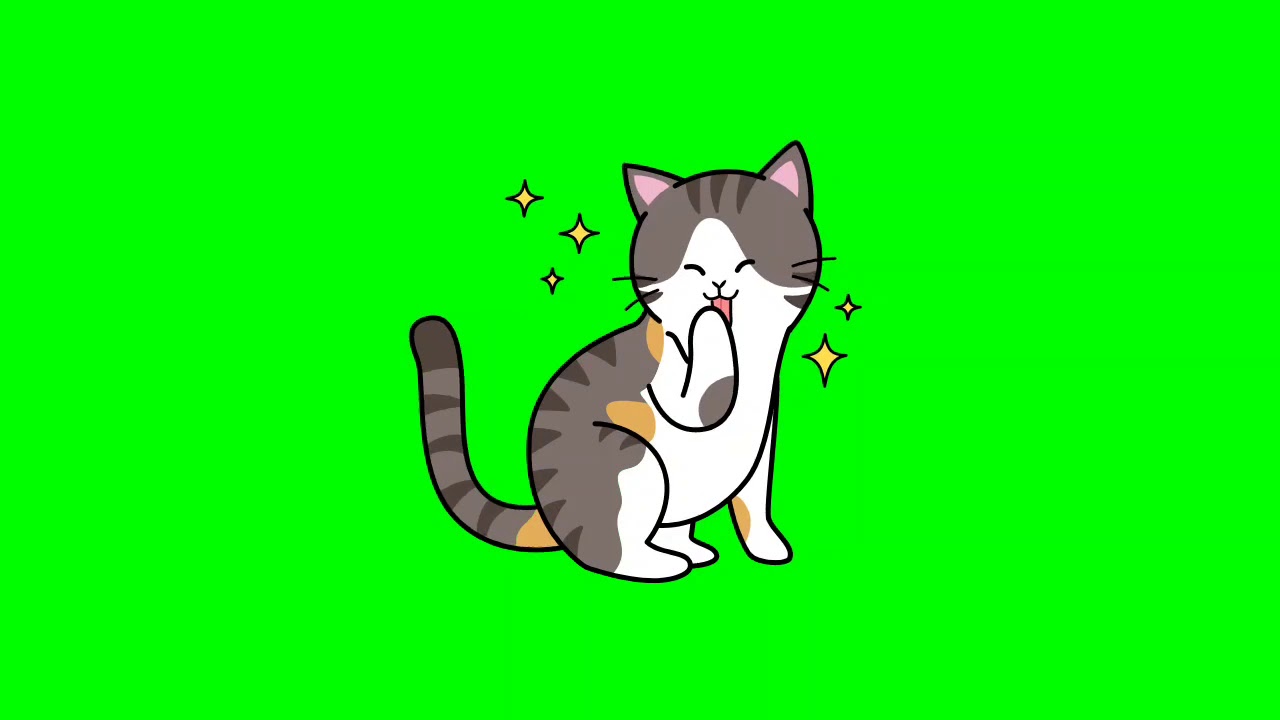 Cute Kitten Green Screen - YouTube