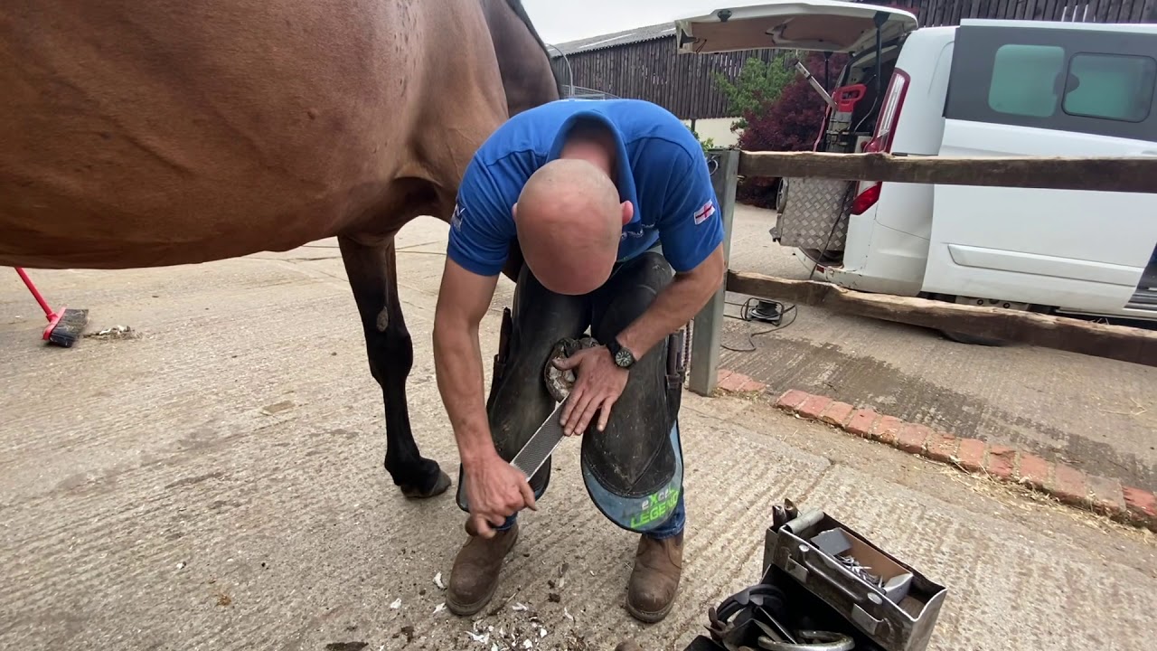 Mustad Live - Steven Beane