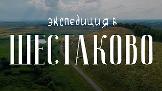 Экспедиция в Шестаково: сибирские динозавры и их соседи