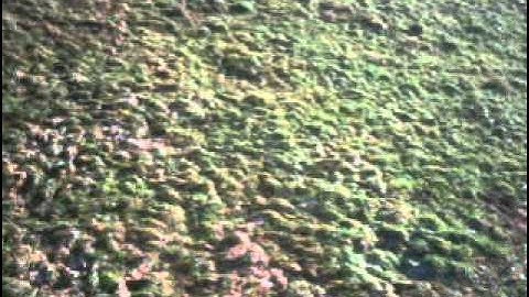 MULTIPLEX FUNCUB  onboard camera by Pim Pilot