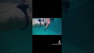 Love Like This I Just Want To Go Back And Stay In The Water Forever