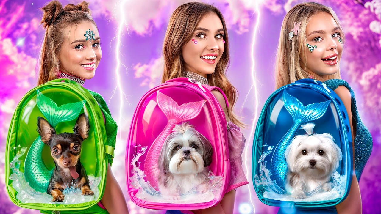 We Found Mermaid Dogs! Magical Pets in Real Life