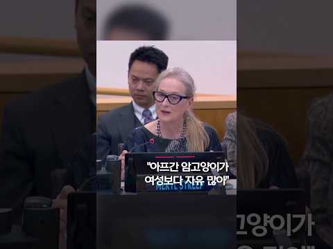 &amp;quot;아프간 암고양이가 <strong>여성보다</strong> 자유 많아&amp;quot; #shorts