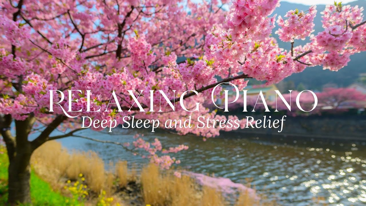 Relaxing Piano & Nature Sounds | Calm Music for Deep Sleep and Stress Relief