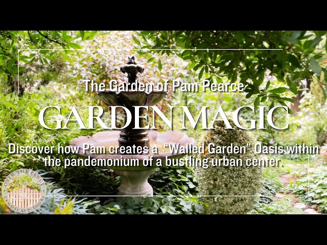 Discover how Pam creates a Walled Garden Oasis within the pandemonium of a bustling urban center. class=