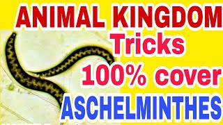 NEET 2023 ANIMAL KINGDOM TRICKS Lecture 6 (Phylum Aschelminthes) Full NCERT based