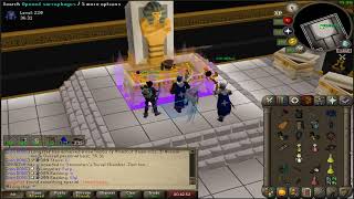 2nd Purp Ironman - group raid