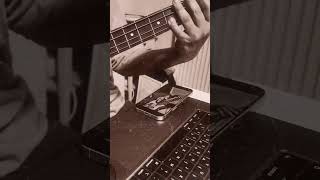J&D jazz bass