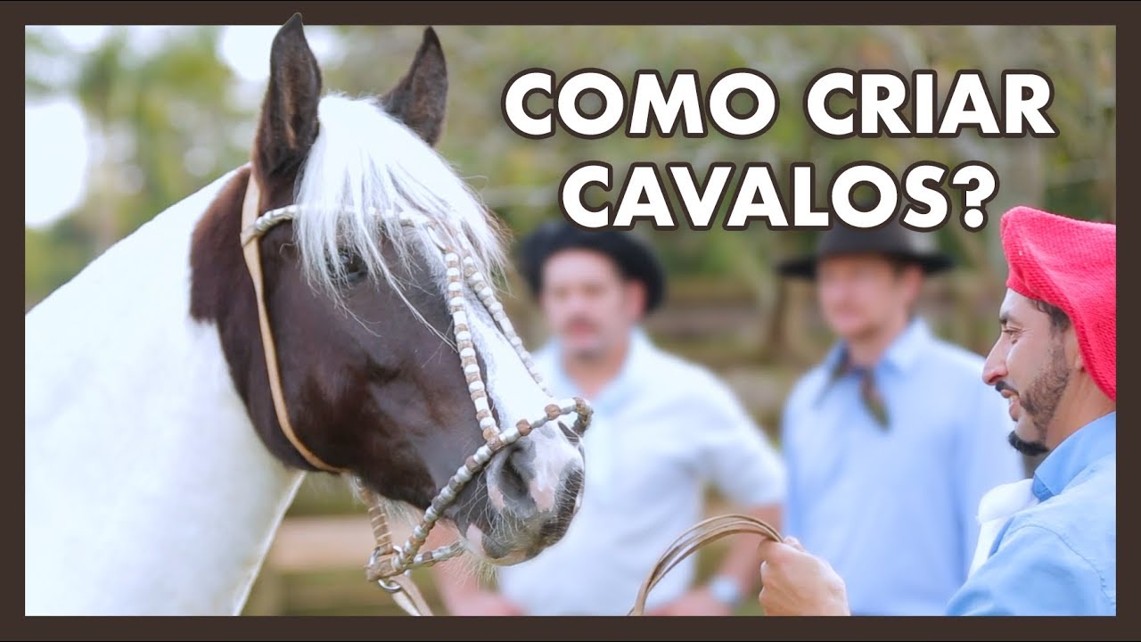 DICAS preciosas na hora de iniciar a CRIAÇÃO!