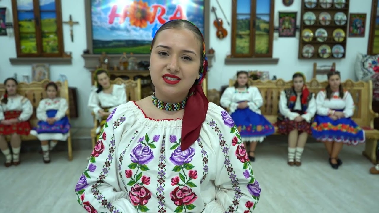 PATRICIA COZMUTA - PRICEASNA - Stau adeseori pe ganduri si privesc