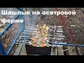 Шашлык на осетровой ферме