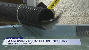Aquaculture venture builds new domestic industry while helping to feed the hungry