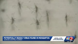 Mosquito-borne virus detected in Central Florida as summer begins