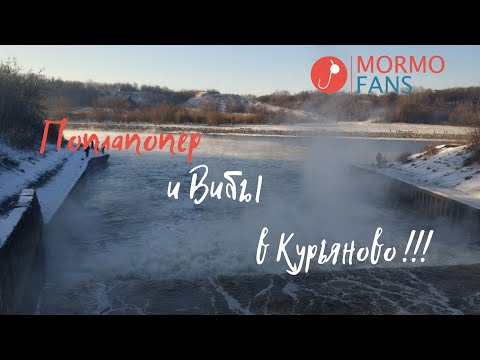 Поплапопер и Вибы