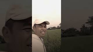 Download Lagu Persib Bandung ada salam dari KDM gubernur Jawa Barat. #kdm #kangdedimulyadi #persib MP3