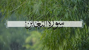 { سورة التغابن } | ماجد العنزي .