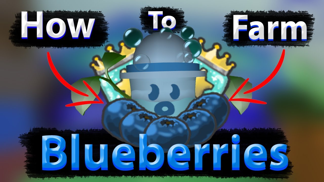 how-to-farm-blueberries-bee-swarm-simulator-youtube