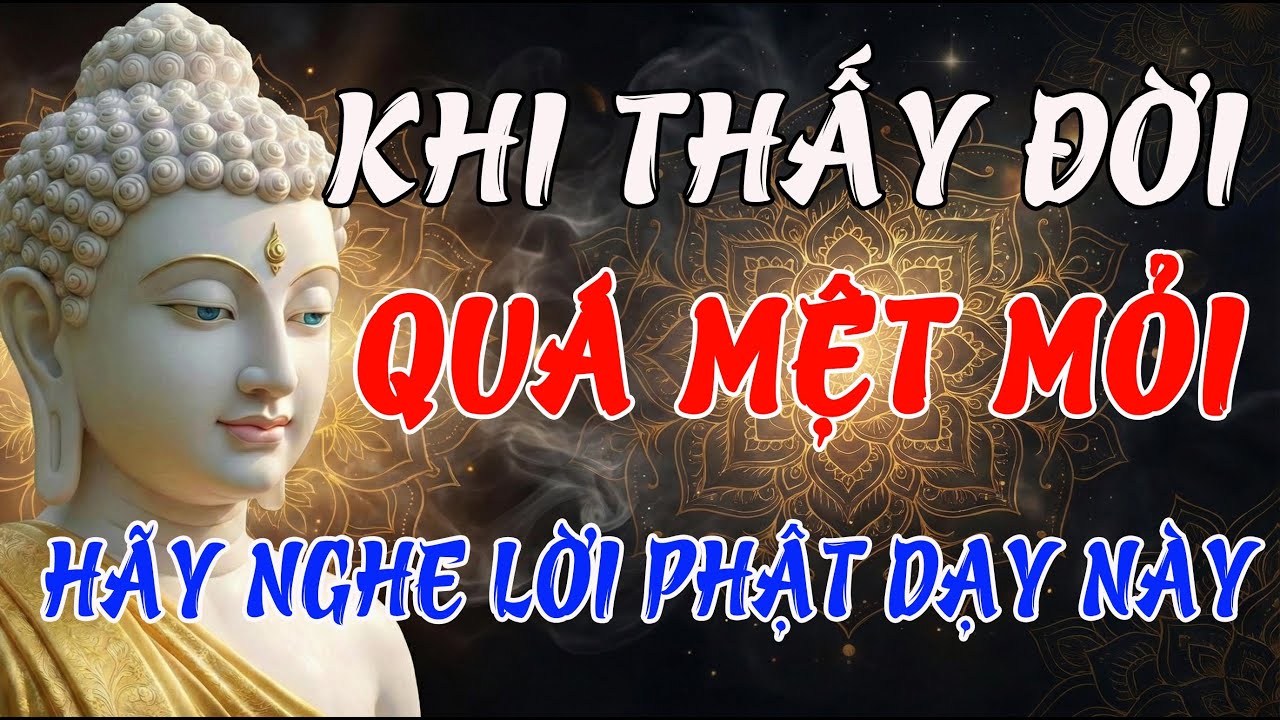 Khi Thấy Đời Quá Mệt Mỏi, Hãy Nghe Lời Phật Dạy Về Bể Khổ Để Tìm Thấy Sự An Nhiên Tự Tại