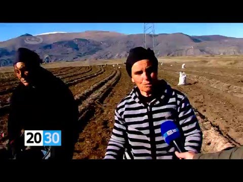 ზვიად თხელიძე - ერთი დღე სოფლად  /2030 (09.11.2015.)/