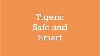 Tiger: Safe and Smart requirement 7