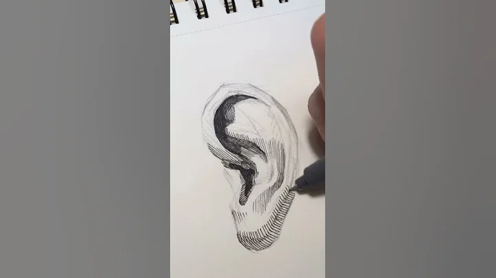 pen drawing crosshatching | ears