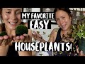 TOP EASY & UNIQUE HOUSEPLANTS! | My 10 Favorite EASY Plants!