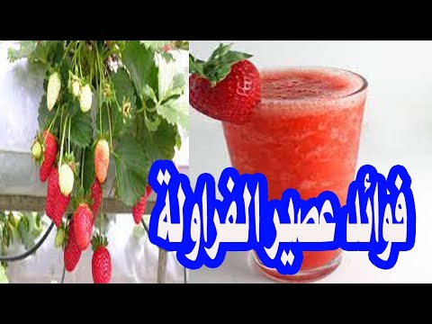 فوائد معلومة عن فوائد عصير الفراولة