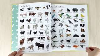 Jual Usborne 1000 Animals Di Seller Minibabycare Books - Babatan ...