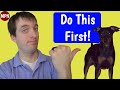 The 3 min pin puppy training tips you must do first