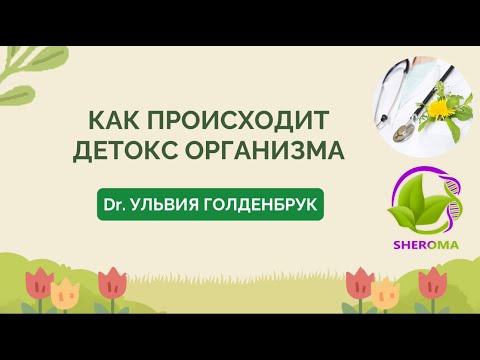 Что происходит в организме, когда в него попадают вредные вещества.Рекомендации Др.Ульвия Голденбрук