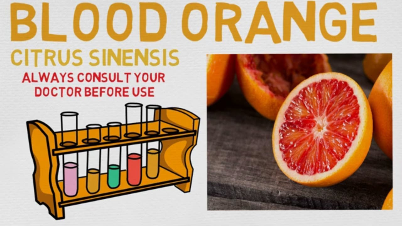 Essential Oil Breakdown: Blood Orange Oil! Benefits, Uses, and History (Aromatherapy)