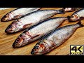 SARDINHA : COMO LIMPAR, TIRAR AS ESPINHAS, O FILÉ E FAZER CONSERVA (ROLLMOPS)