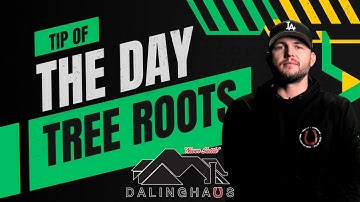 Tree Roots - Everything You Need to Know with How They Affect Foundations - Tip of the Day