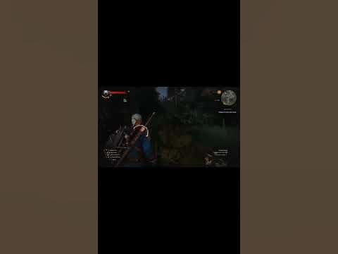 The Witcher 3: Wild Hunt | Шкура Белого Волка #gaming #witcher3 #shorts ...