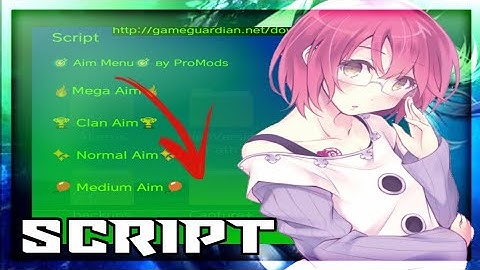 MEGA SCRIPT HACK PARA STANDOFF2 0.11.3p2