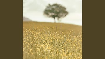 lazy sunday (so fancy)