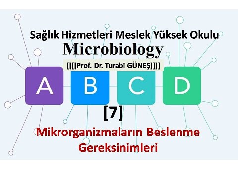 Temel Mikrobiyoloji [7]