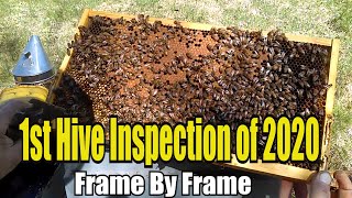 1st Hive Inspection Of 2020, Frame By Frame