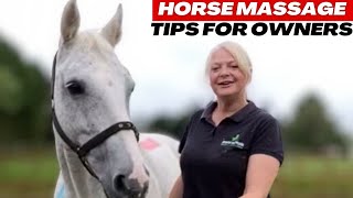 Horse massage for owners - Part 1 - Head & Neck