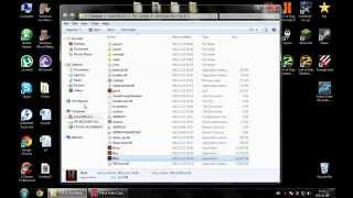 [FIXED]Black Ops 2 Skidrow Zombie Error "code_pre_gfx"