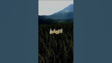 تِلْكَ الدَّارُ الْآخِرَةُ نَجْعَلُهَا - محمد صديق المنشاوي - سورة القصص #quran  #المصحف