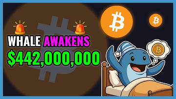 Bitcoin Whale Just Unlocked $442,000,000 | 🚨WHALE ALERT
