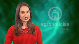 AGRONOTICIAS sie7e PROGRAMA 83