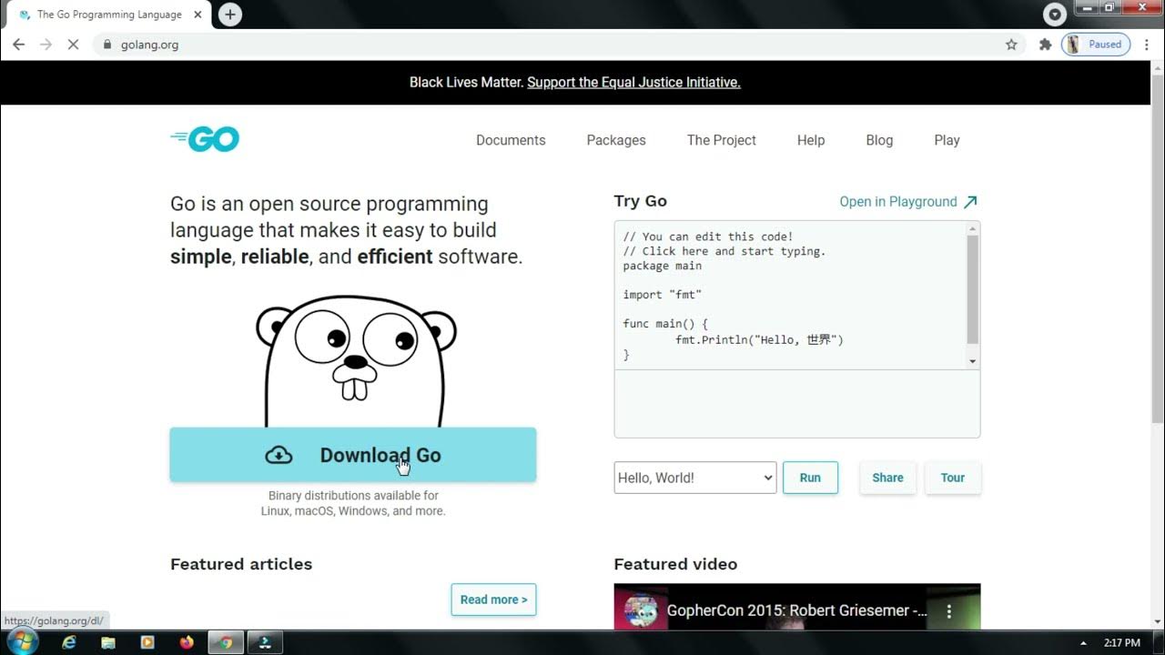 Linux update. Simple and reliable. Golang. How to install go. How to install go.