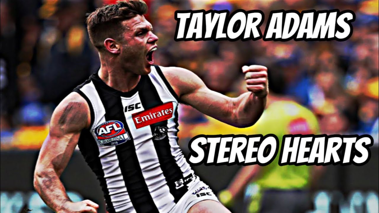 Taylor Adams Mix - Stereo Hearts