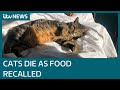 At least 150 cats dead as food is recalled over potential link to rare and fatal disease | ITV News