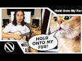 🐈 Hold Onto My Fur | SUBTITULADO EN ESPAÑOL | The Kiffness x Oh Long Johnson 2.0 (Talking Cat Song)